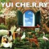 YUI "Cherry" CD Cover